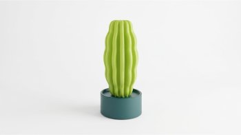 CACTUS LONG DEKORATİF BAHÇE AKSESUARI