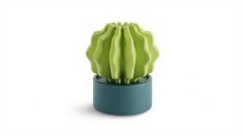 CACTUS LARGE DEKORATİF BAHÇE AKSESUARI